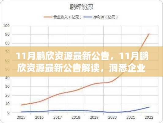 11月鹏欣资源最新公告解读，企业动态与未来发展展望