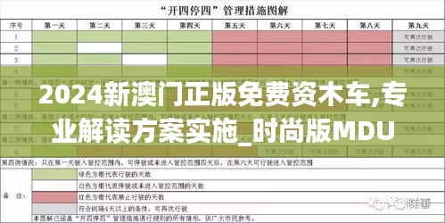 2024新澳门正版免费资木车,专业解读方案实施_时尚版MDU93.995