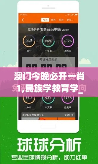 澳门今晚必开一肖1,民族学教育学_图形版XKY7.904