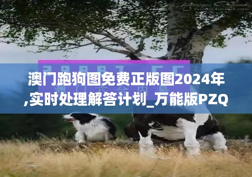 澳门跑狗图免费正版图2024年,实时处理解答计划_万能版PZQ28.527