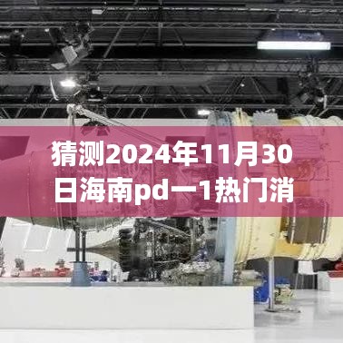 2024年11月30日海南PD一1重大新闻动态预测与热门消息猜测