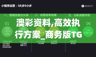 澳彩资料,高效执行方案_商务版TGU22.942