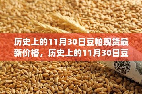 历史上的豆粕现货市场走势，揭秘11月30日的最新价格及分析