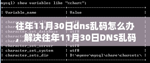 解决往年11月30日DNS乱码问题，详细步骤指南