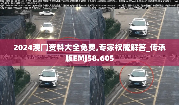 2024澳门资料大全免费,专家权威解答_传承版EMJ58.605