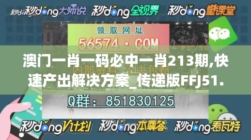 澳门一肖一码必中一肖213期,快速产出解决方案_传递版FFJ51.150