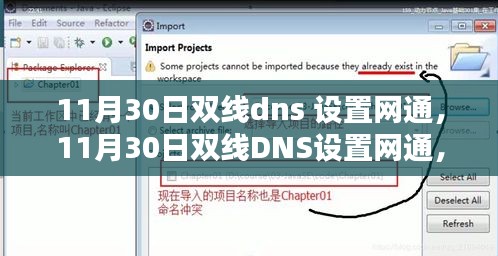 11月30日双线DNS设置网通，全面评测与详细介绍