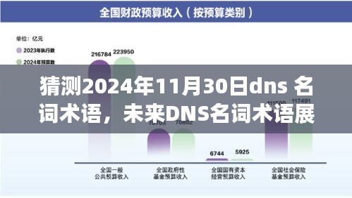 至2024年11月30日的DNS发展趋势展望，名词术语解析与预测