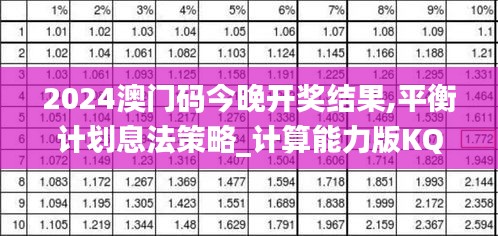 2024澳门码今晚开奖结果,平衡计划息法策略_计算能力版KQD92.619