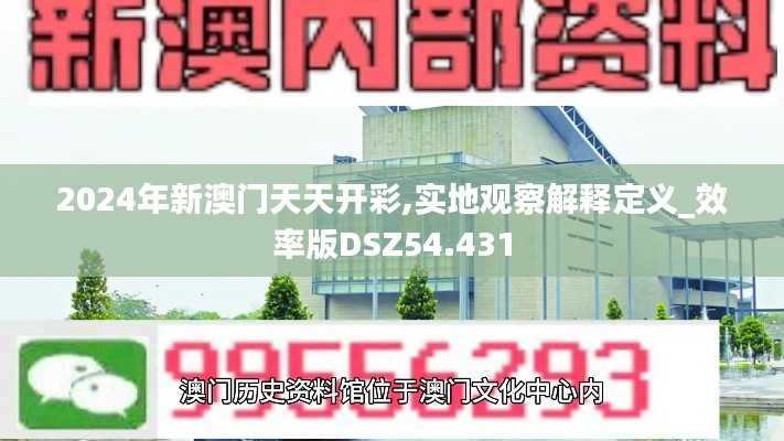 2024年新澳门天天开彩,实地观察解释定义_效率版DSZ54.431