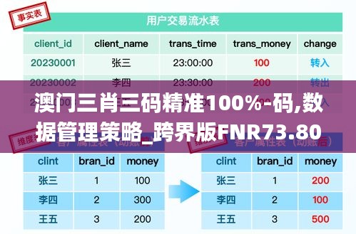 澳门三肖三码精准100%-码,数据管理策略_跨界版FNR73.807