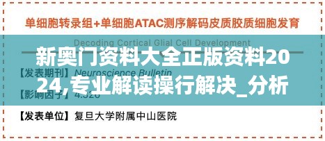 新奥门资料大全正版资料2024,专业解读操行解决_分析版YQB60.919