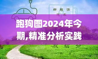 跑狗图2024年今期,精准分析实践_外观版GON83.206