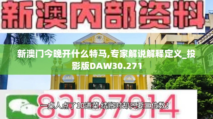 新澳门今晚开什么特马,专家解说解释定义_投影版DAW30.271