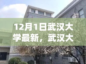 武汉大学最新动态揭秘，十二月一日校园新篇章开启