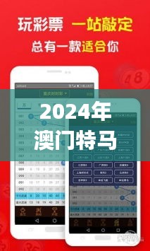 2024年澳门特马今晚开奖号码,效率资料解释定义_Ultra93.578