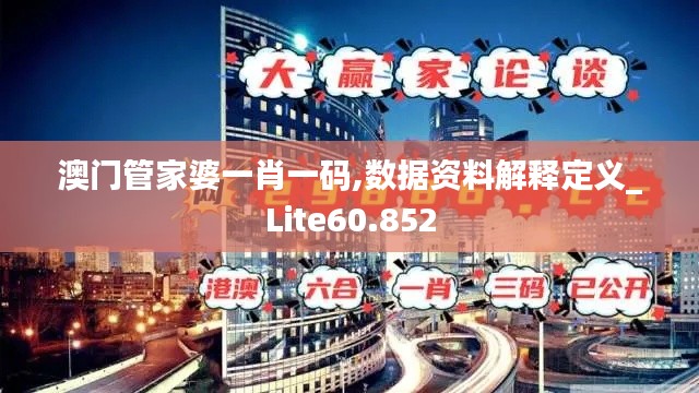 澳门管家婆一肖一码,数据资料解释定义_Lite60.852