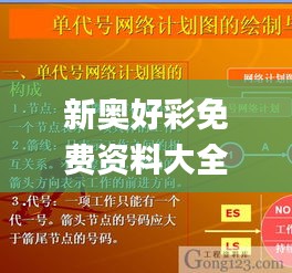 新奥好彩免费资料大全,实地计划设计验证_VIP84.464