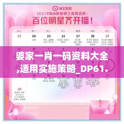 婆家一肖一码资料大全,适用实施策略_DP61.897