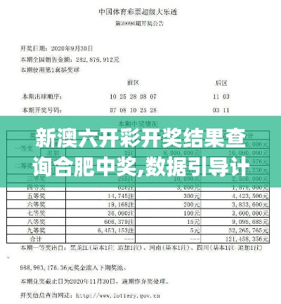 新澳六开彩开奖结果查询合肥中奖,数据引导计划设计_pro94.693