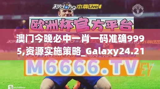 澳门今晚必中一肖一码准确9995,资源实施策略_Galaxy24.219