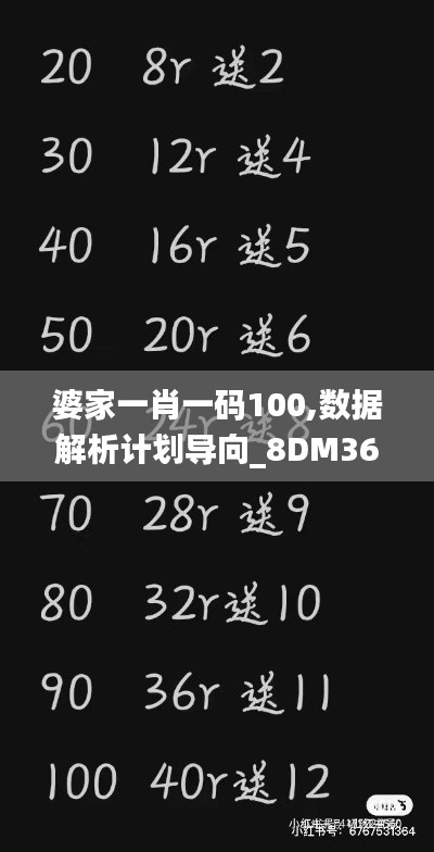 婆家一肖一码100,数据解析计划导向_8DM36.985