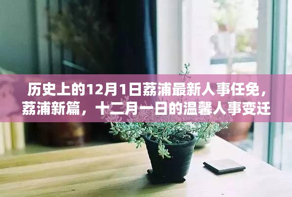 荔浦人事任免新篇章，十二月一日的温馨变迁与深厚友情纪念时刻