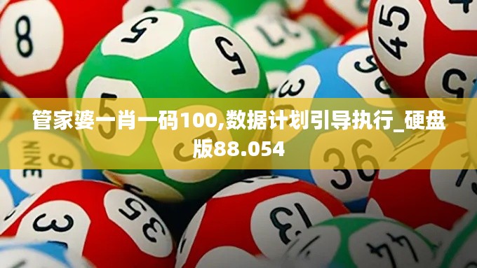 管家婆一肖一码100,数据计划引导执行_硬盘版88.054