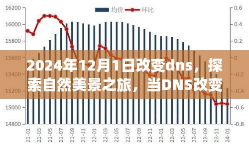 改变DNS之日，启程探索自然美景，寻找内心宁静之旅