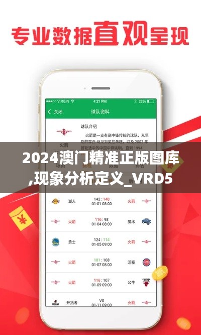 2024澳门精准正版图库,现象分析定义_VRD56.764结合版