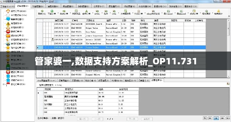 管家婆一,数据支持方案解析_OP11.731