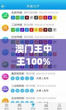 澳门王中王100%期期中一期,实地评估解析数据_1080p70.384