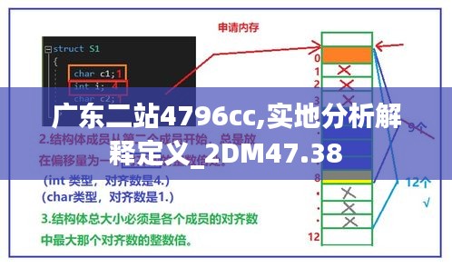 广东二站4796cc,实地分析解释定义_2DM47.38