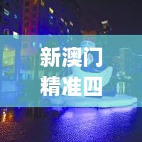 新澳门精准四肖期期中特公开,理论评估解答解释措施_显示版81.666