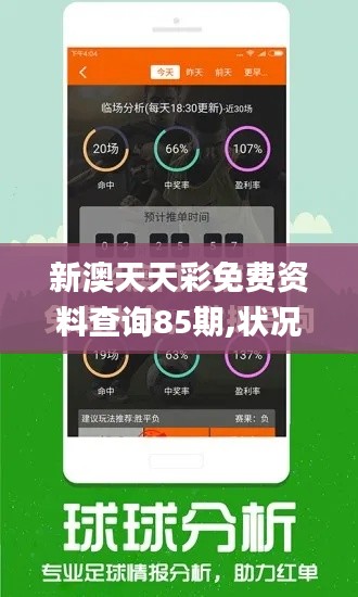 新澳天天彩免费资料查询85期,状况分析解析说明_娱乐版66.904