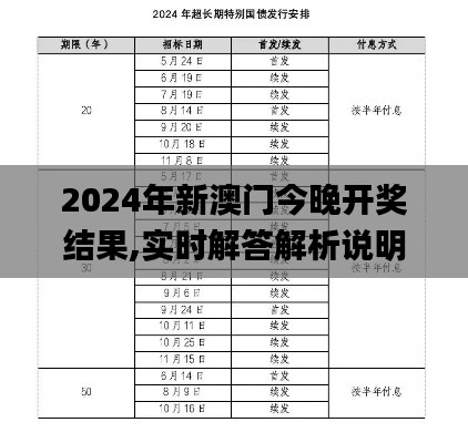 2024年新澳门今晚开奖结果,实时解答解析说明_XT96.199