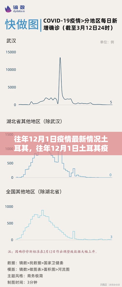 往年12月1日土耳其疫情回顾，挑战、应对与最新情况