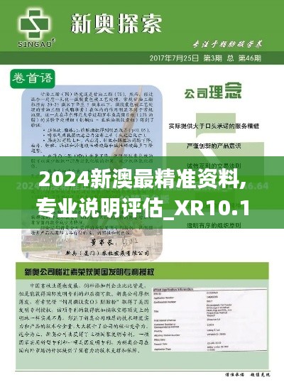 2024新澳最精准资料,专业说明评估_XR10.121