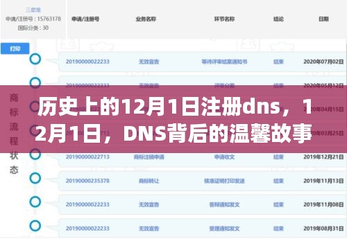 12月1日注册DNS背后的故事，探寻背后的温馨历程