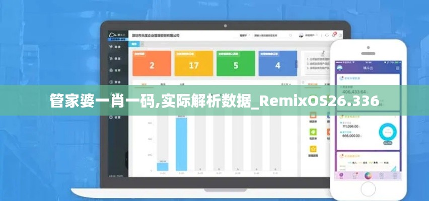 管家婆一肖一码,实际解析数据_RemixOS26.336