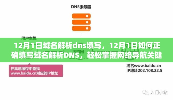 12月1日域名解析DNS填写指南，轻松掌握正确填写，助力网络导航