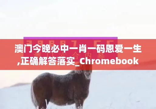 澳门今晚必中一肖一码恩爱一生,正确解答落实_Chromebook85.227