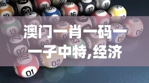 澳门一肖一码一一子中特,经济方案解析_ios79.501