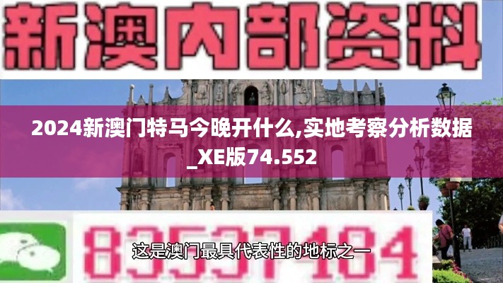 2024新澳门特马今晚开什么,实地考察分析数据_XE版74.552