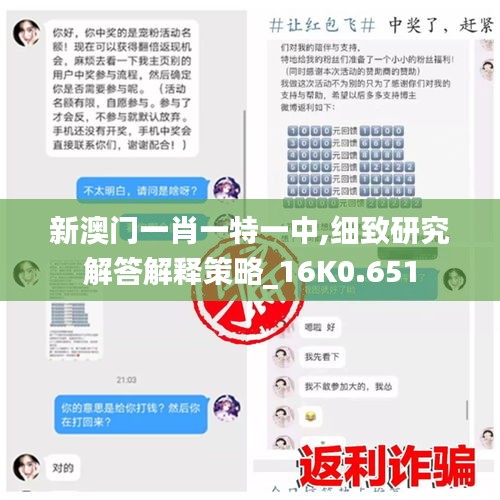 新澳门一肖一特一中,细致研究解答解释策略_16K0.651