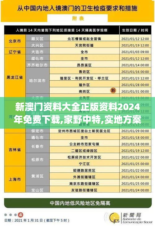 新澳门资料大全正版资料2024年免费下载,家野中特,实地方案验证_复刻版89.450