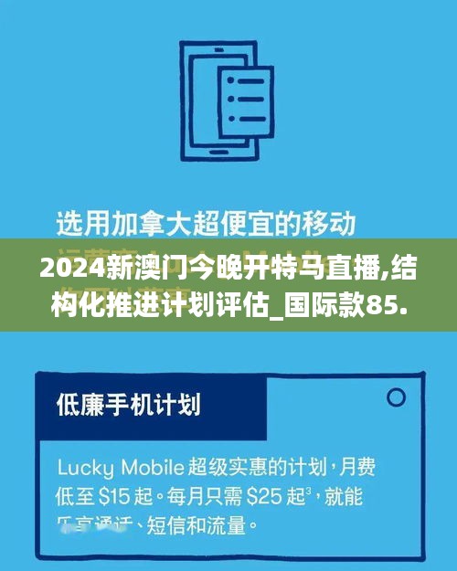 2024新澳门今晚开特马直播,结构化推进计划评估_国际款85.972