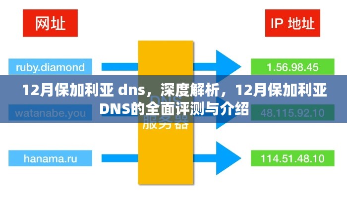 12月保加利亚DNS全面评测与深度解析