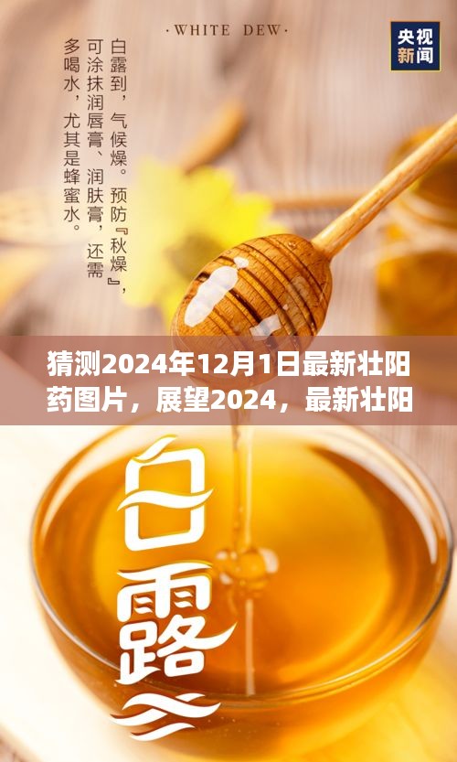 探寻之旅，展望2024最新壮阳药图片揭秘