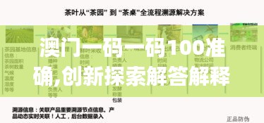 澳门一码一码100准确,创新探索解答解释现象_8DM26.73